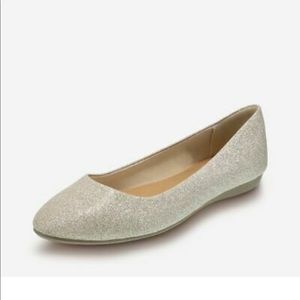 Adorable Silver Ballet Flats Never worn